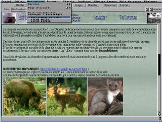 Ibrowse 2.1